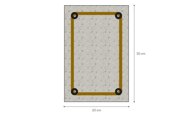 Sección de una viga de 20 × 30 cm con su estribo, dibujada por la app